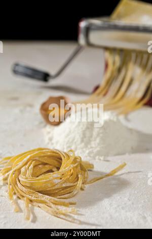 Tagliatelle et ses ingrédients avec la machine coupe-pâtes on background Banque D'Images