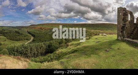 Paysage de North York Moors, à plus Newtondale avec Skelton tour à droite, vu de la Lande Levisham, North Yorkshire, England, UK Banque D'Images