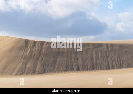 Dune de sable désertique venteuse au Danemark. De petits ruisseaux de sable montrent combien les dunes bougent. Beau ciel nuageux Banque D'Images