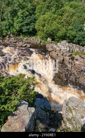 Chute d'eau High Force sur la rivière Tees près de Forest-in-Teesdale, Teesdale, comté de Durham Banque D'Images