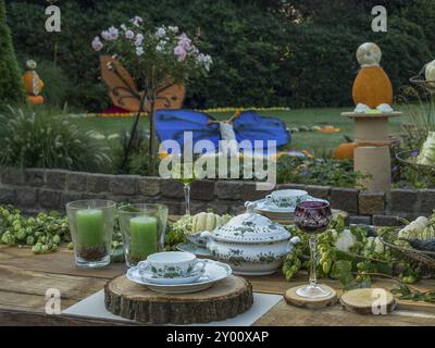 Une table festivement posée dans le jardin avec un service de thé et de jus de fruits verts dans une ambiance calme, borken, muensterland, Allemagne, Europe Banque D'Images