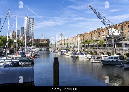 Rotterdam Marina, gastronomie, quartier de la vie nocturne, port de plaisance, bateaux à voile, yachts à moteur, dans le port intérieur, district de Feijenoord, Rot Banque D'Images