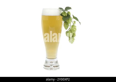 Verre de bière avec des cônes de houblon de branche isolés sur fond blanc, ingrédients de brassage de bière Banque D'Images