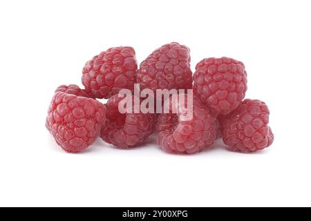 Pile de baies de framboises rouges mûres isolées sur fond blanc, vue à angle bas Banque D'Images