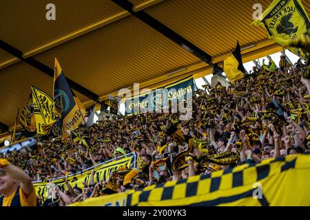 Torjubel der fans TSV Alemannia Aix-la-Chapelle v. FC Erzgebirge Aue, Fussball, 3. Liga, 4. Spieltag, saison 2024/2025, 31.08.2024, Foto : Eibner-Pressefoto/Justin Derondeau LES RÈGLEMENTS du DFB INTERDISENT TOUTE UTILISATION DE PHOTOGRAPHIES COMME SÉQUENCES D'IMAGES ET/OU QUASI-VIDÉO Banque D'Images