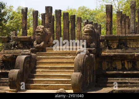 Vue inclinée des marches et des sculptures de lion qui mènent à la salle d'audience, une partie des ruines de l'ancien capitole du Royaume à Polonnaruwa, Sri Lanka, Banque D'Images