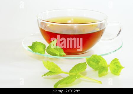 Thé à la menthe dans une tasse en verre thé à la menthe poivrée dans une tasse en verre Banque D'Images