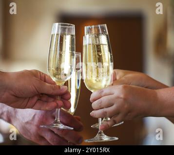 La célébration. De personnes faisant un toast Banque D'Images