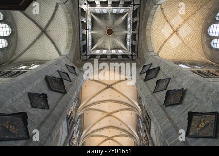 Gothique : Église Nicolas, plafond voûté et colonnes de la nef centrale, Gand, Flandre, Belgique, Europe Banque D'Images