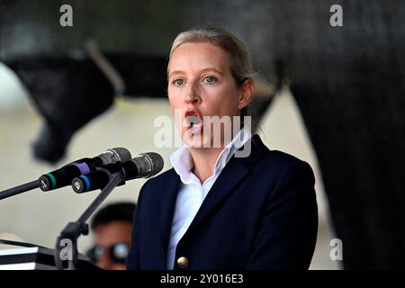 Politikerin Alice Weidel AFD BEI der Abschlusskundgebung der AFD im Wahlkampf für die Landtagswahl in Thüringen. Erfurt, 31.08.2024 Thüringen Deutschland *** femme politique Alice Weidel AFD au rassemblement final de l'AFD dans la campagne électorale pour les élections d'État en Thuringe Erfurt, 31 08 2024 Thuringe Allemagne Copyright : xDwixAnoraganingrumx Banque D'Images