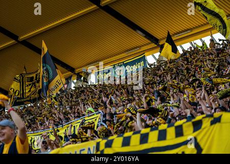 Aix-la-Chapelle, Deutschland. 31 août 2024. Torjubel der fans TSV Alemannia Aix-la-Chapelle v. FC Erzgebirge Aue, Fussball, 3. Liga, 4. Spieltag, saison 2024/2025, 31.08.2024, Foto : Eibner-Pressefoto/Justin Derondeau LA RÉGLEMENTATION DFB INTERDIT TOUTE UTILISATION DE PHOTOGRAPHIES COMME SÉQUENCES D'IMAGES ET/OU QUASI-VIDÉO/dpa/Alamy Live News Banque D'Images