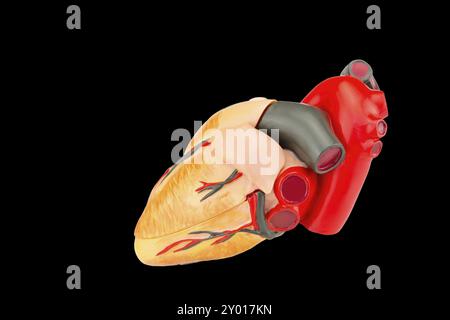 Cœur de l'homme artificiel isolé modèle sur fond noir Banque D'Images