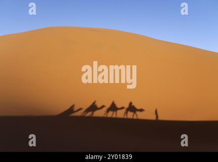 Ombre d'une caravane dans les dunes de sable du désert de l'Erg Chebbi au Maroc Banque D'Images