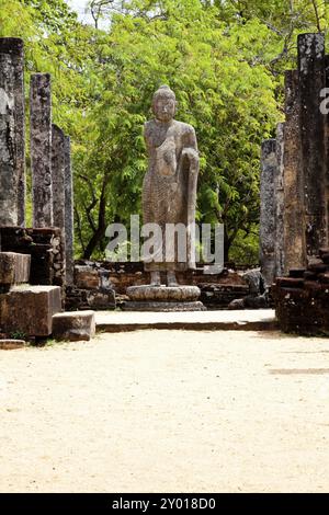 bouddha debout à polonnaruwa, sri lanka Banque D'Images