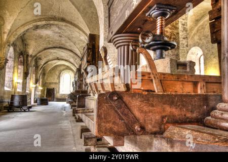 Ancienne cave à vin dans le monastère d'Eberbach Banque D'Images