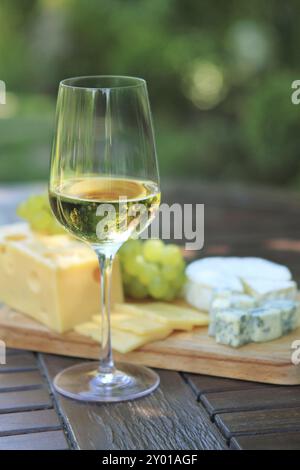 Différentes sortes de fromages, raisins et un verre de vin blanc Banque D'Images