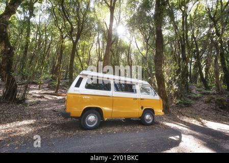 La Gomera, Espagne, 16 janvier 2016 : camionnette Volkswagen T2 classique sur la route dans une forêt verdoyante, Europe Banque D'Images