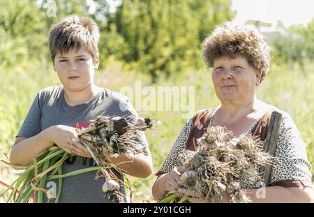 Grand-mère avec petit-fils récolte de l'ail dans le jardin Banque D'Images