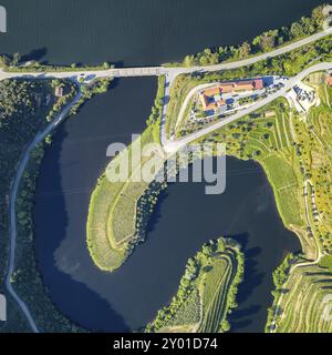 Région de la vallée du vin Douro drone vue aérienne en haut de la rivière en forme de s Bend à Quinta do Tedo au coucher du soleil, au Portugal Banque D'Images