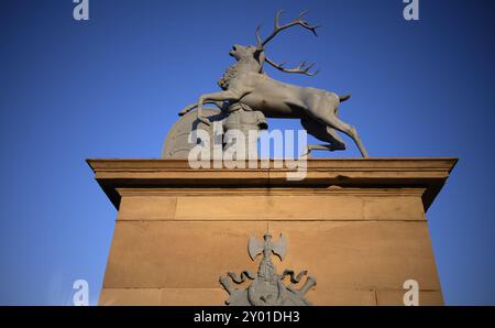 Cerf héraldique d'Anton von Isopis devant le portail principal et la cour d'honneur Neues Schloss, Schlossplatz, Stuttgart, Bade-Wuerttemberg, Allemagne, Banque D'Images