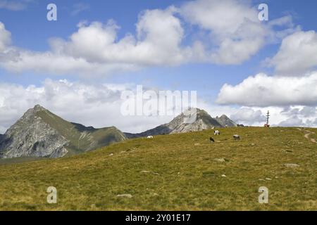 Panorama de montagne avec pâturage de vaches dans le Tyrol du Sud, Italie, Europe Banque D'Images