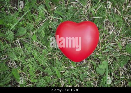 Forme de coeur rouge sur l'herbe verte Banque D'Images