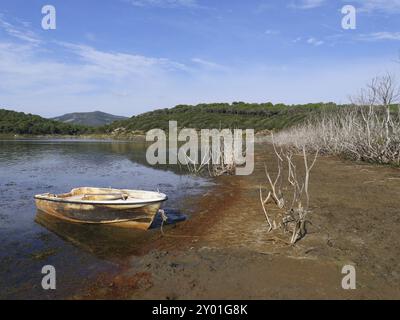 Le seul lac naturel d'eau douce de Sardaigne, Lago di Baratz, au nord de l'île, est entouré de forêts de pins et de dunes Banque D'Images