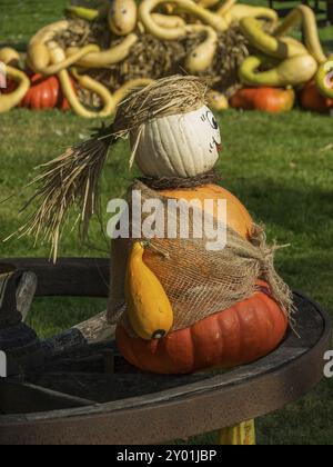 Figure fantaisiste de citrouille dans une décoration automnale avec diverses citrouilles autour d'elle, borken, muensterland, Allemagne, Europe Banque D'Images