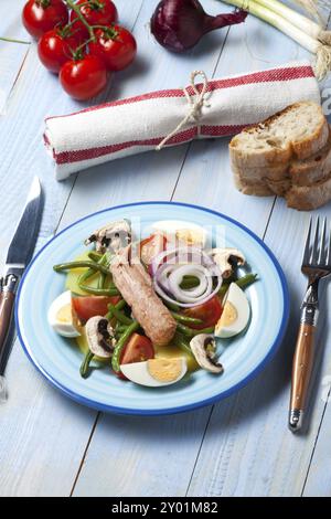 Salade française Nicoise sur une assiette Banque D'Images