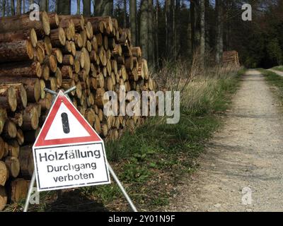 Panneau d'avertissement sur un chemin forestier Banque D'Images