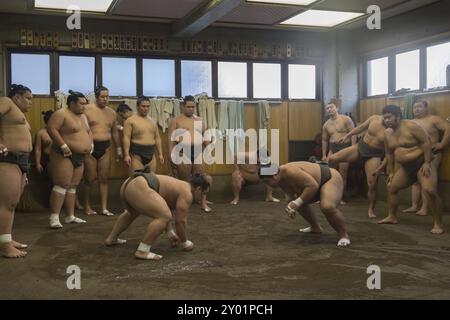 Tokyo, Japon, 21 décembre 2014 : un lutteur de sumo japonais s'entraîne dans son stand dans le district de Ryogoku, en Asie Banque D'Images