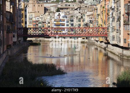 Maisons historiques et le pont Eiffel sur la rivière Onyar à Gérone, Catalogne, Espagne, Europe Banque D'Images