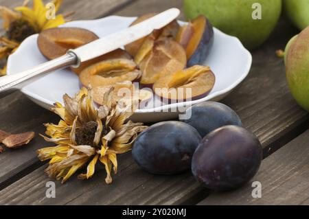 Prunes fraîches coupées en deux et dénoyautées et prunes entières avec un couteau sur une table de jardin. Poires en arrière-plan. Une fleur fanée reprend les couleurs de la halv Banque D'Images