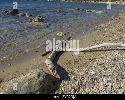 Une plage avec du bois flotté et des rochers sur le rivage d'une mer calme, mettant l'accent sur le sable et l'eau claire, katakolon, mer méditerranée, grèce Banque D'Images