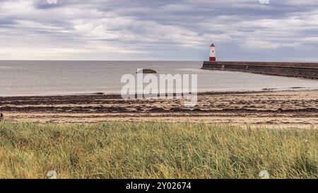 Meadow Haven et le phare à Berwick-upon-Tweed, Northumberland, Angleterre, Royaume-Uni, vu de la jetée Banque D'Images