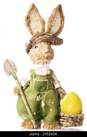 Bunny avec panier et oeufs de pâques isolé sur fond blanc. Concept de Pâques Banque D'Images