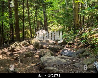 Un sentier de randonnée accidenté serpente jusqu'à Cascade Mountain, offrant une aventure difficile à travers les superbes Adirondacks près de Lake Placid à New Yor Banque D'Images