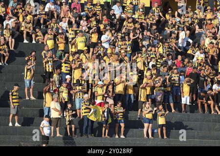 Novo Horizonte, Brésil. 31 août 2024. SP - NOVO HORIZONTE - 08/31/2024 - B BRÉSILIEN 2024, NOVORIZONTINO x VILA NOVA-GO - les fans de Novorizontino lors du match contre Vila Nova-GO au stade Jorge Ismael de Biasi pour le championnat brésilien B 2024. Photo : Pedro Zacchi/AGIF crédit : AGIF/Alamy Live News Banque D'Images