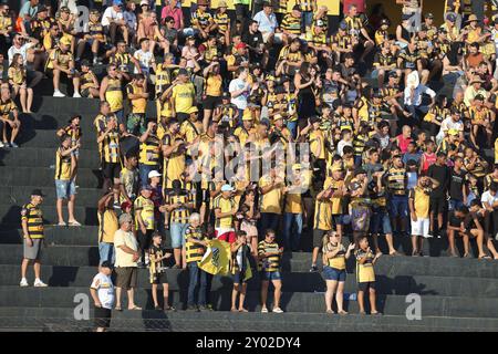 Novo Horizonte, Brésil. 31 août 2024. SP - NOVO HORIZONTE - 08/31/2024 - B BRÉSILIEN 2024, NOVORIZONTINO x VILA NOVA-GO - les fans de Novorizontino lors du match contre Vila Nova-GO au stade Jorge Ismael de Biasi pour le championnat brésilien B 2024. Photo : Pedro Zacchi/AGIF (photo de Pedro Zacchi/AGIF/SIPA USA) crédit : Sipa USA/Alamy Live News Banque D'Images