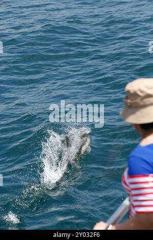 Une vue de gens observant des dauphins communs à bec court nageant avec le bateau, vu au large de la côte de Californie du Sud. Banque D'Images