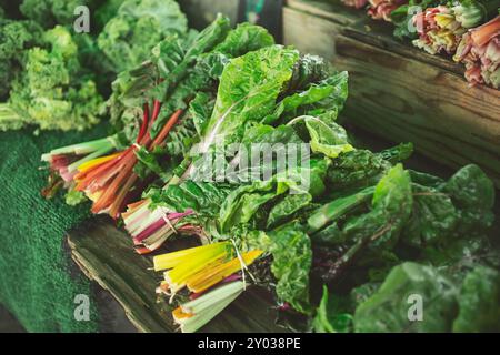 Une vue de haut en bas d'une table pleine de liasses de cardes suisses, exposée sur un marché fermier local. Banque D'Images