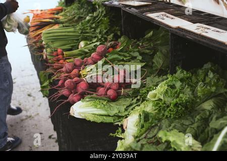 Une vue d'une grande table pleine d'une variété de légumes frais, exposée sur un marché de fermiers locaux. Banque D'Images