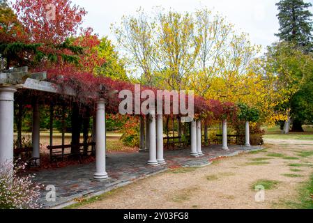 Jardins botaniques de Christchurch - Nouvelle-Zélande Banque D'Images