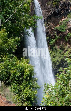 Double cascade Wailua Falls traverse la forêt sur Kauai Hawaii Banque D'Images