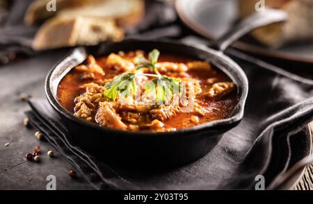 Soupe savoureuse ou ragoût à base de tripes de bœuf et d'épices. Soupe de tripes épicée et aromatique assaisonnée au poivre et servie avec du pain. Banque D'Images