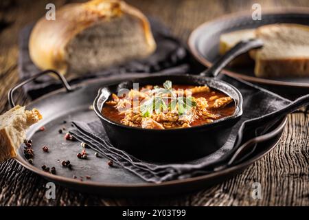 Soupe savoureuse ou ragoût à base de tripes de bœuf et d'épices. Soupe de tripes épicée et aromatique assaisonnée au poivre et servie avec du pain. Banque D'Images