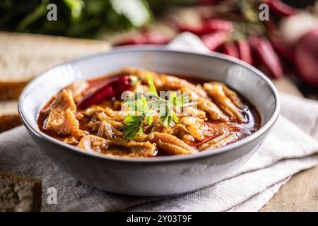 Soupe savoureuse ou ragoût à base de tripes de bœuf et d'épices. Soupe de tripes épicée et aromatique assaisonnée au poivre et servie avec du pain. Banque D'Images