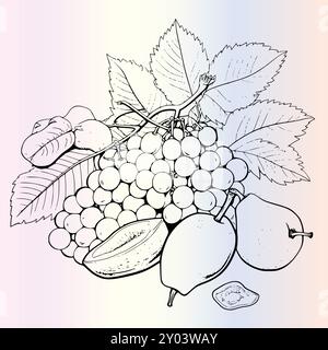 Fruit Ximenia Coloriage page pour les enfants Illustration de Vecteur