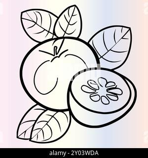 Fruit Ximenia Coloriage page pour les enfants Illustration de Vecteur