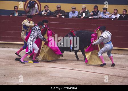 Torero BEI Stierkampf in der Arena von Riobamba, Ekuador, Suedamerika | Matador at Bullfight, Riobamba, Équateur, Amérique du Sud Banque D'Images
